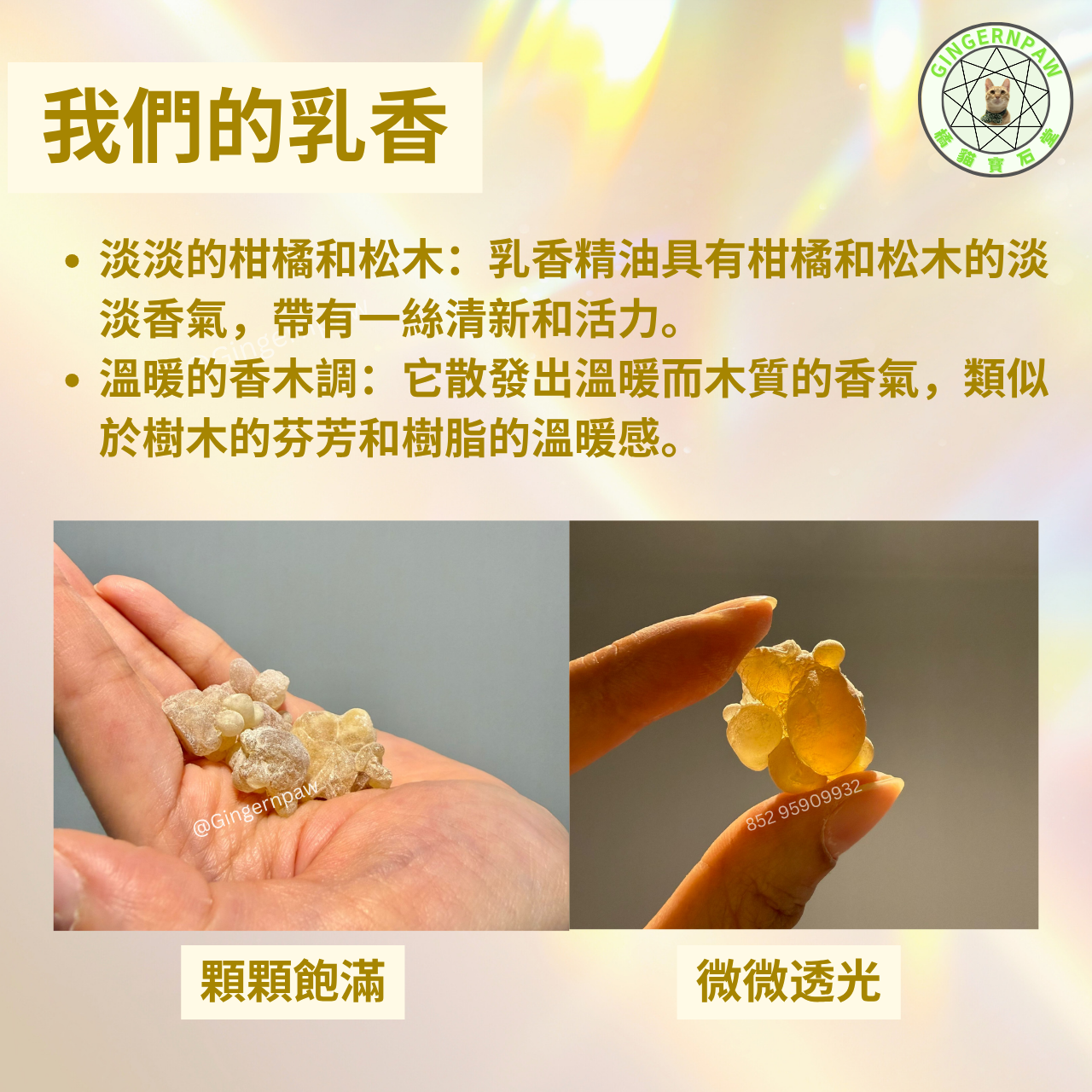 超香柑橘味 阿曼乳香35克大顆