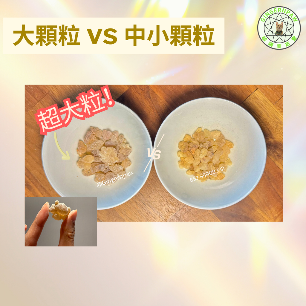超香柑橘味 阿曼乳香35克大顆