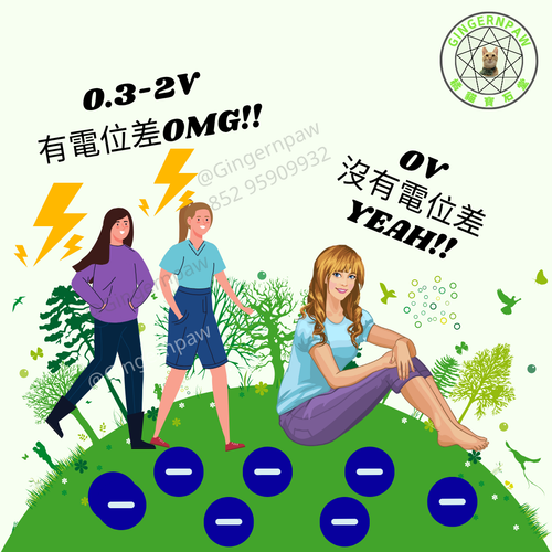 健康接地氣地墊grounding 33cm x 60cm