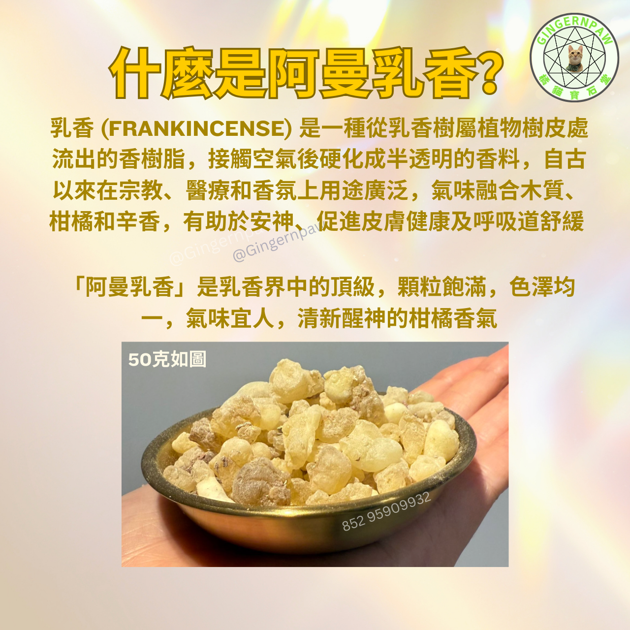 超香柑橘味阿曼乳香香薰爐套裝