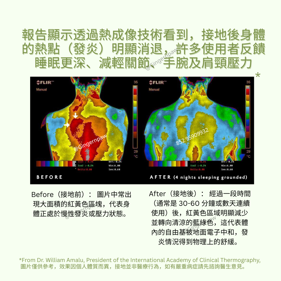 健康接地氣地墊grounding 33cm x 60cm
