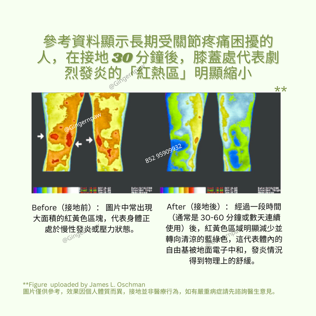 健康接地氣地墊grounding 33cm x 60cm