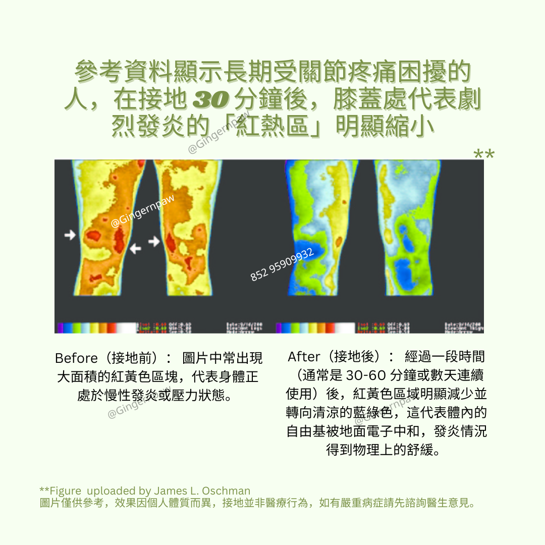 健康接地氣地墊grounding 33cm x 60cm