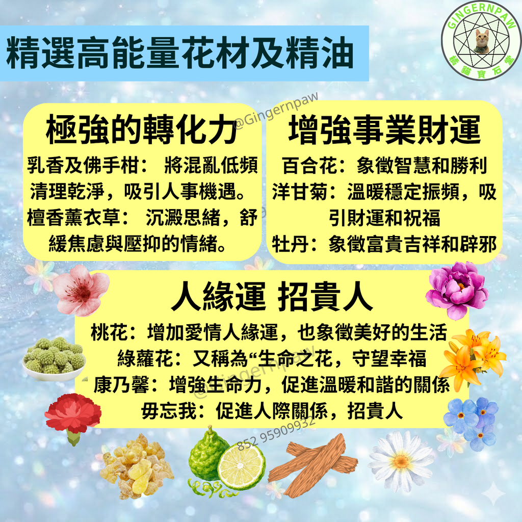 皇牌火天大有卦神聖乳香七色花沐浴露500毫升