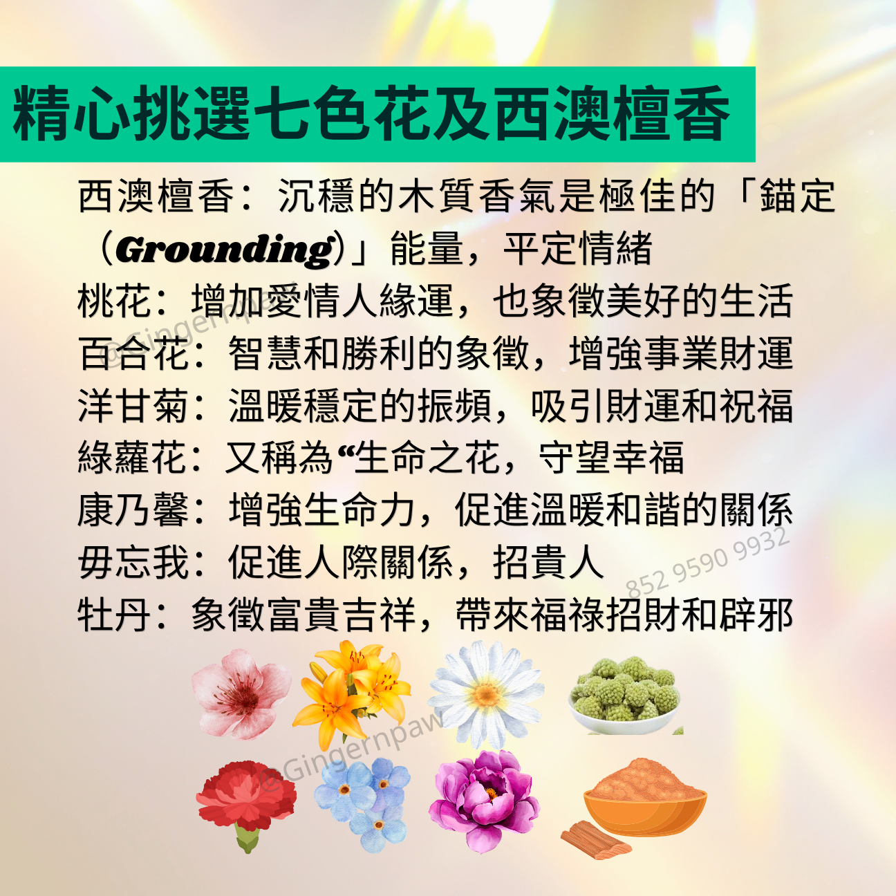 皇牌火天大有🔥全手工七色花檀木線香2筒共30支