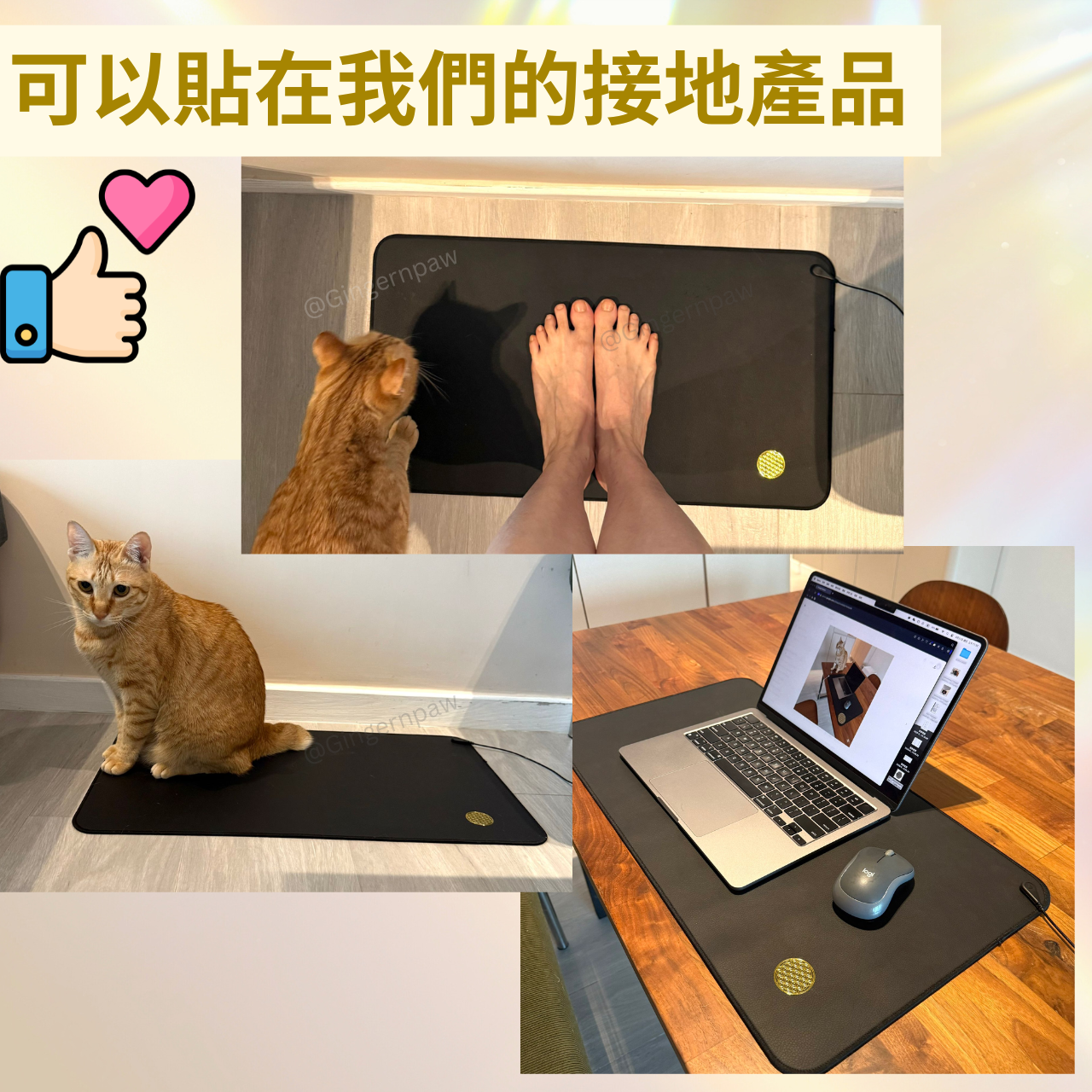 生命之花貼紙10張🌈增強個人及物件能量，提升靈性
