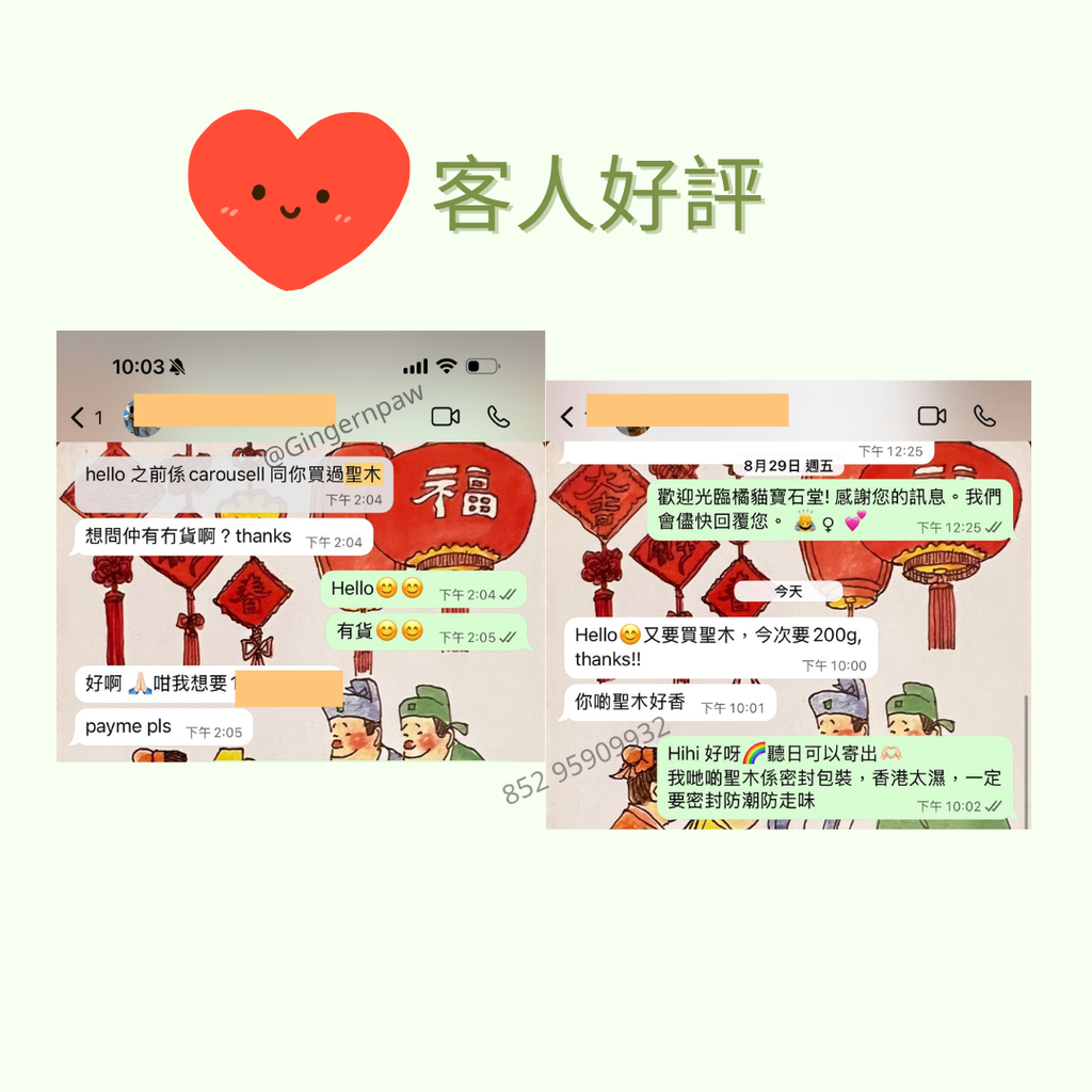 皇牌爆油重香味秘魯聖木palo santo 100g