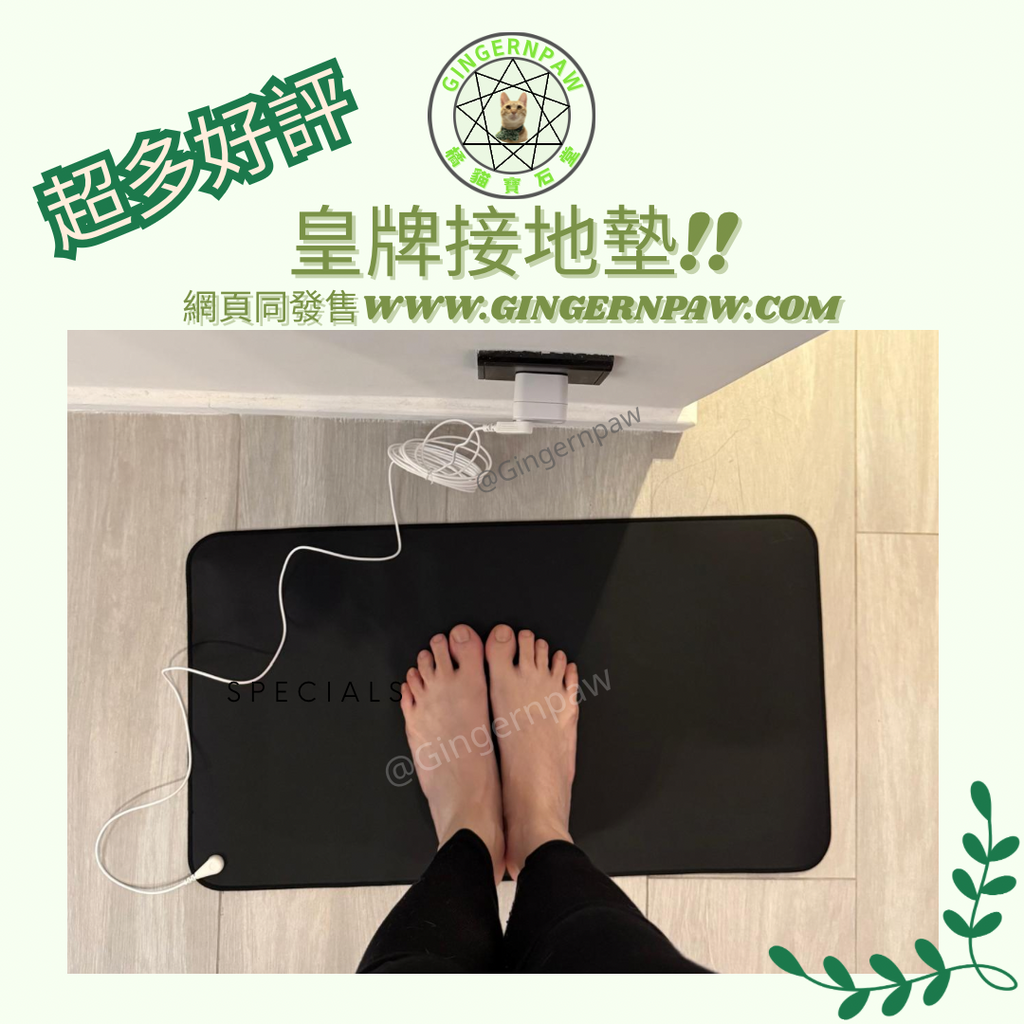 健康接地氣地墊grounding 33cm x 60cm