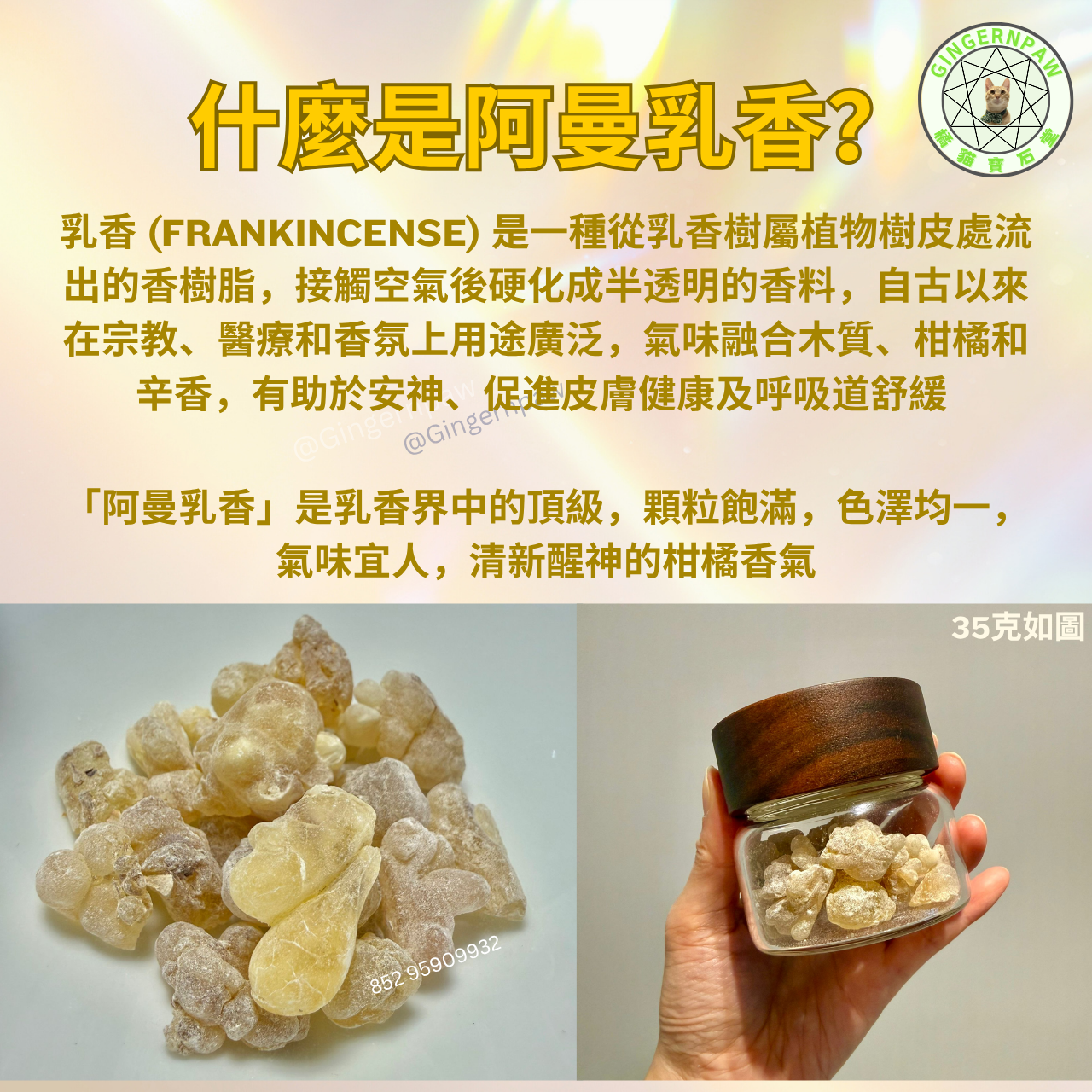 超香柑橘味 阿曼乳香35克大顆