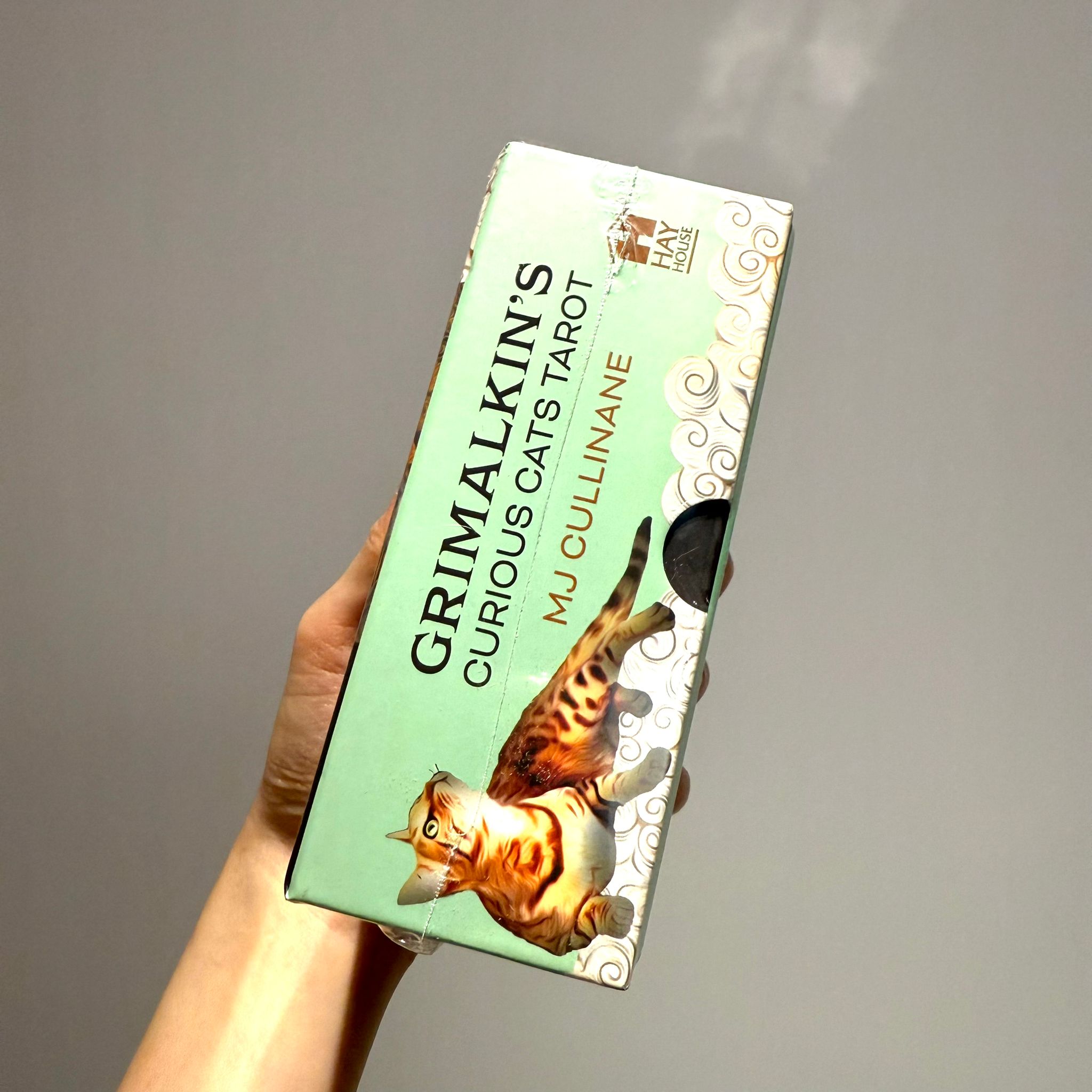 格莫金好奇貓咪塔羅牌（80張高能量貓咪卡牌＋127頁詳解說明書)｜Grimalkin’s Curious Cats Tarot
