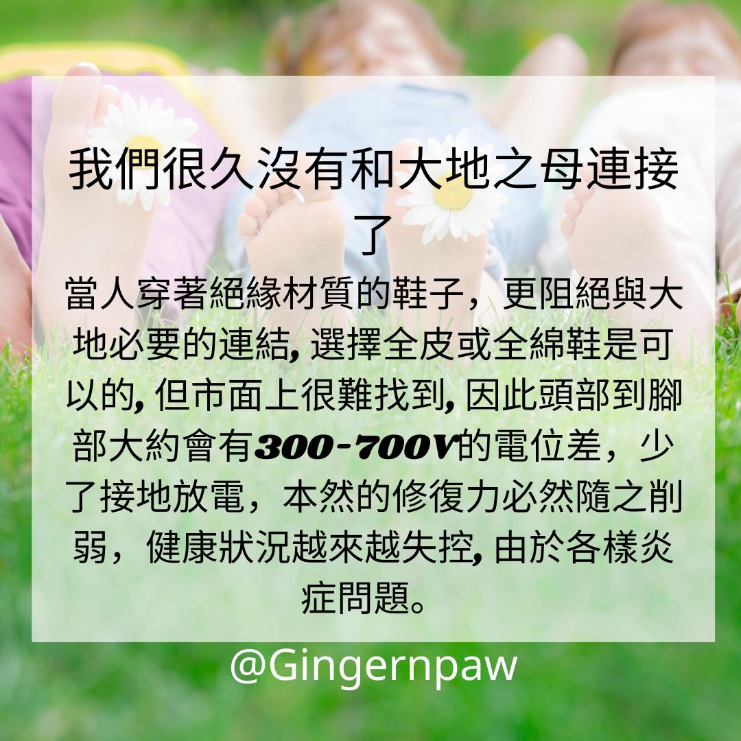 健康接地氣地墊grounding 33cm x 60cm