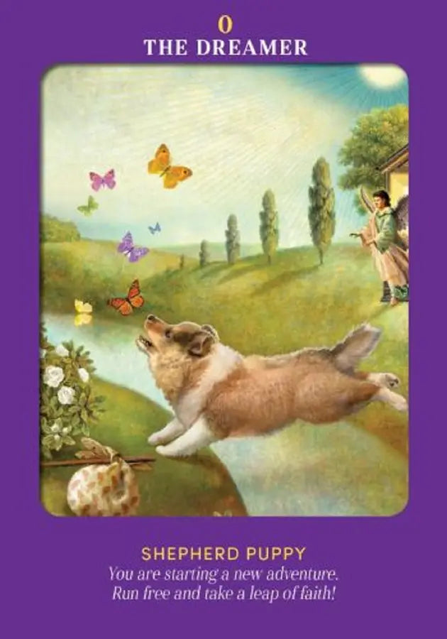 動物指導靈塔羅（78張高能量動物卡牌＋詳解說明書)｜Animal Guides Tarot Card
