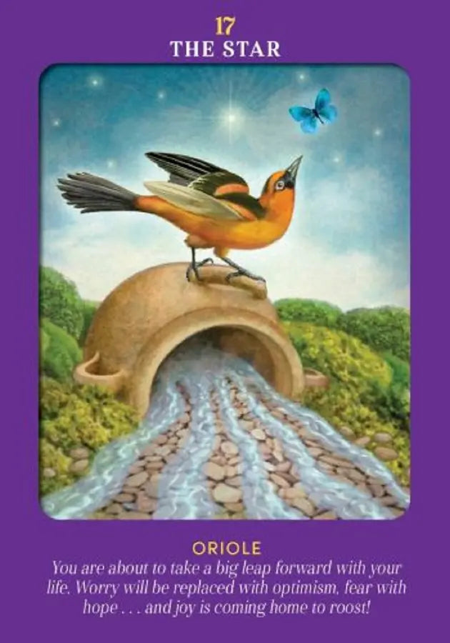 動物指導靈塔羅（78張高能量動物卡牌＋詳解說明書)｜Animal Guides Tarot Card