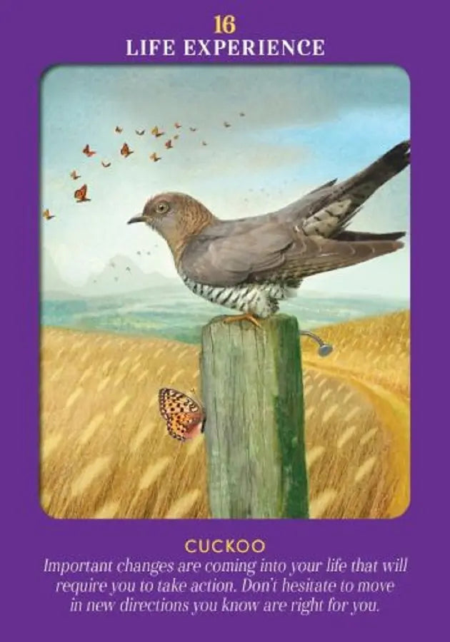 動物指導靈塔羅（78張高能量動物卡牌＋詳解說明書)｜Animal Guides Tarot Card