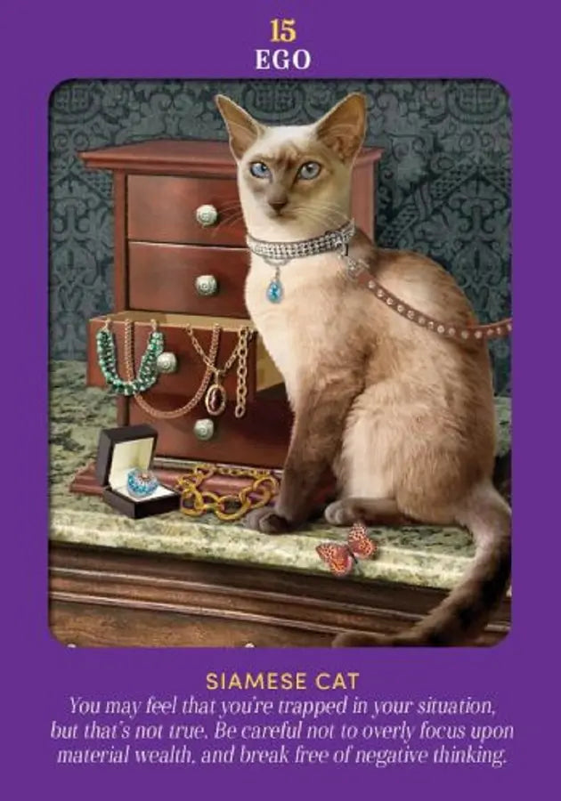 動物指導靈塔羅（78張高能量動物卡牌＋詳解說明書)｜Animal Guides Tarot Card
