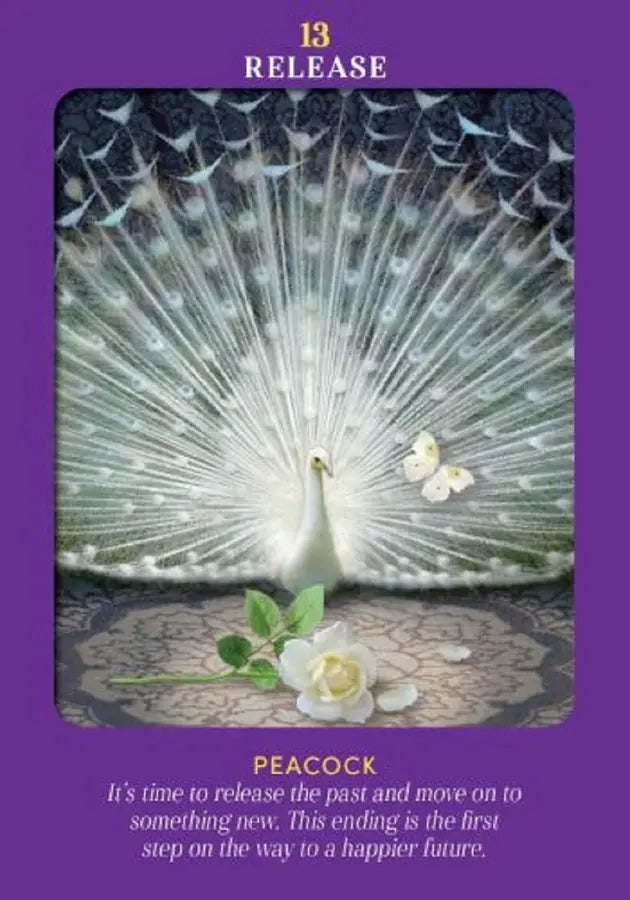 動物指導靈塔羅（78張高能量動物卡牌＋詳解說明書)｜Animal Guides Tarot Card