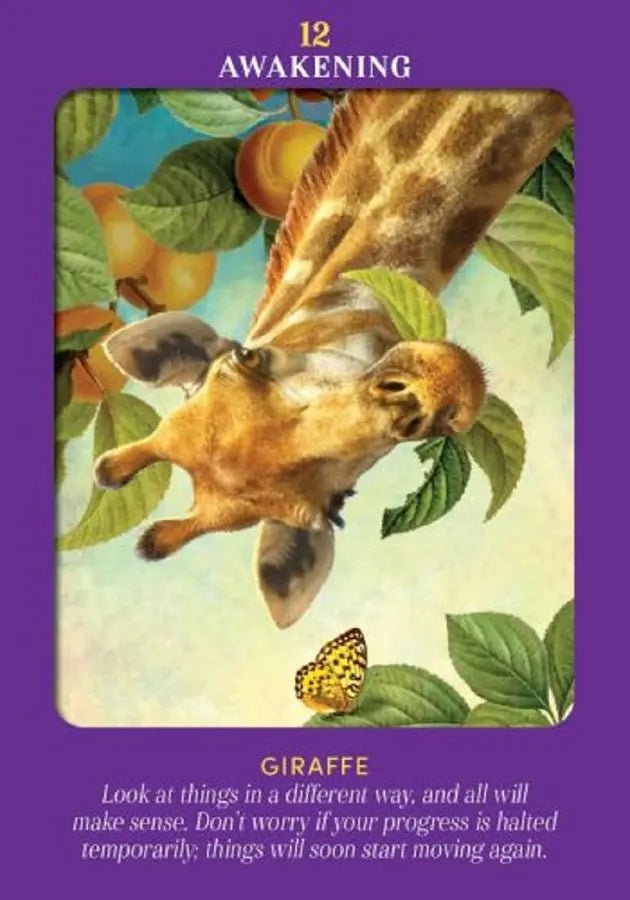 動物指導靈塔羅（78張高能量動物卡牌＋詳解說明書)｜Animal Guides Tarot Card