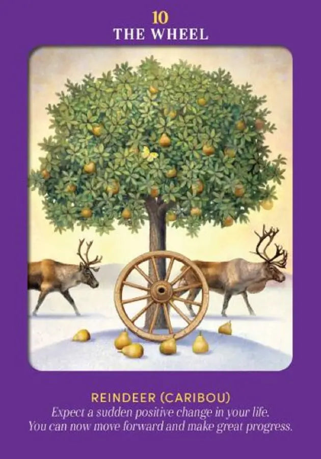 動物指導靈塔羅（78張高能量動物卡牌＋詳解說明書)｜Animal Guides Tarot Card