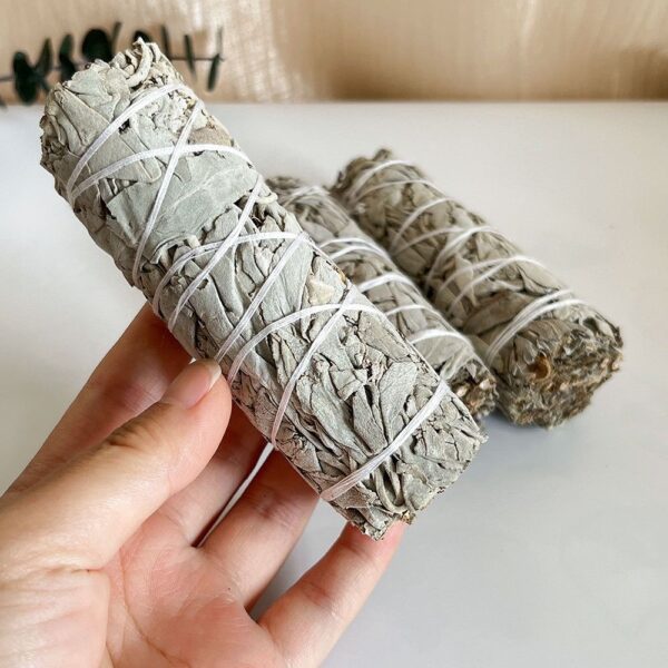 皇牌重身粗美國白鼠尾草sage smudge 兩條：圖片 8