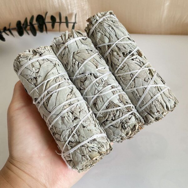 皇牌重身粗美國白鼠尾草sage smudge 兩條：圖片 6