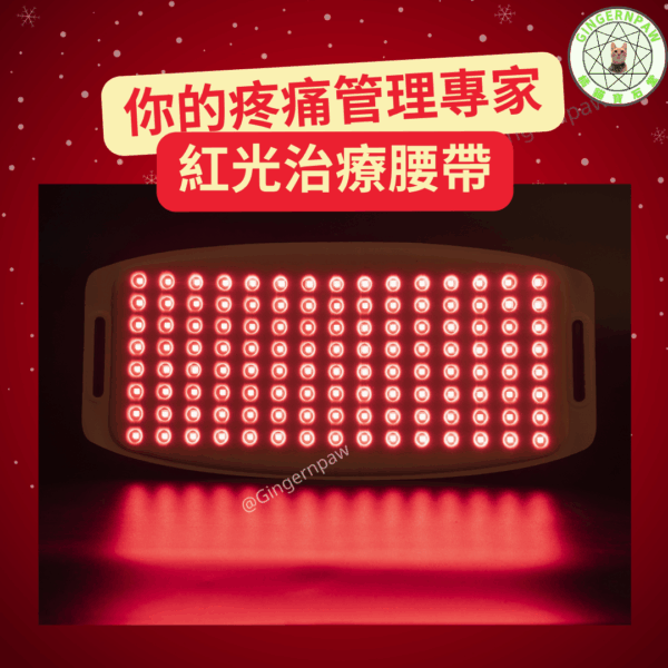 緩解疼痛紅光理療腰帶 (120束660nm的LED紅光光源和240束850nm的近紅外光源)